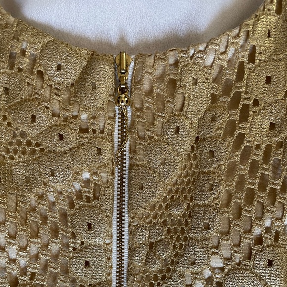 Lilly Pulitzer Eaton Metallic Paisley Shift Dress - Picture 5 of 6